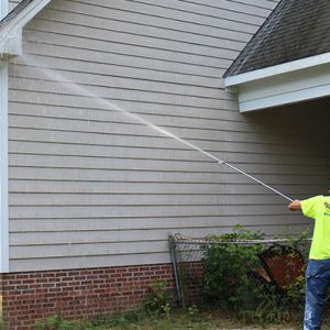 Roof Algae Removal on Long Island: Why Professional Services Are Essential