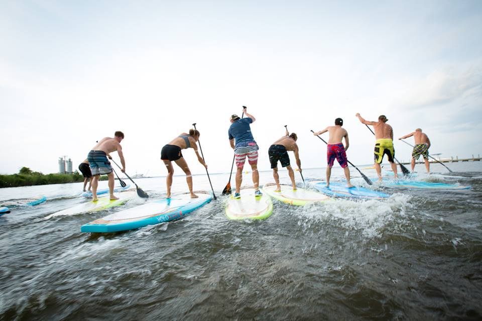 paddle board rentals on Anna maria Island